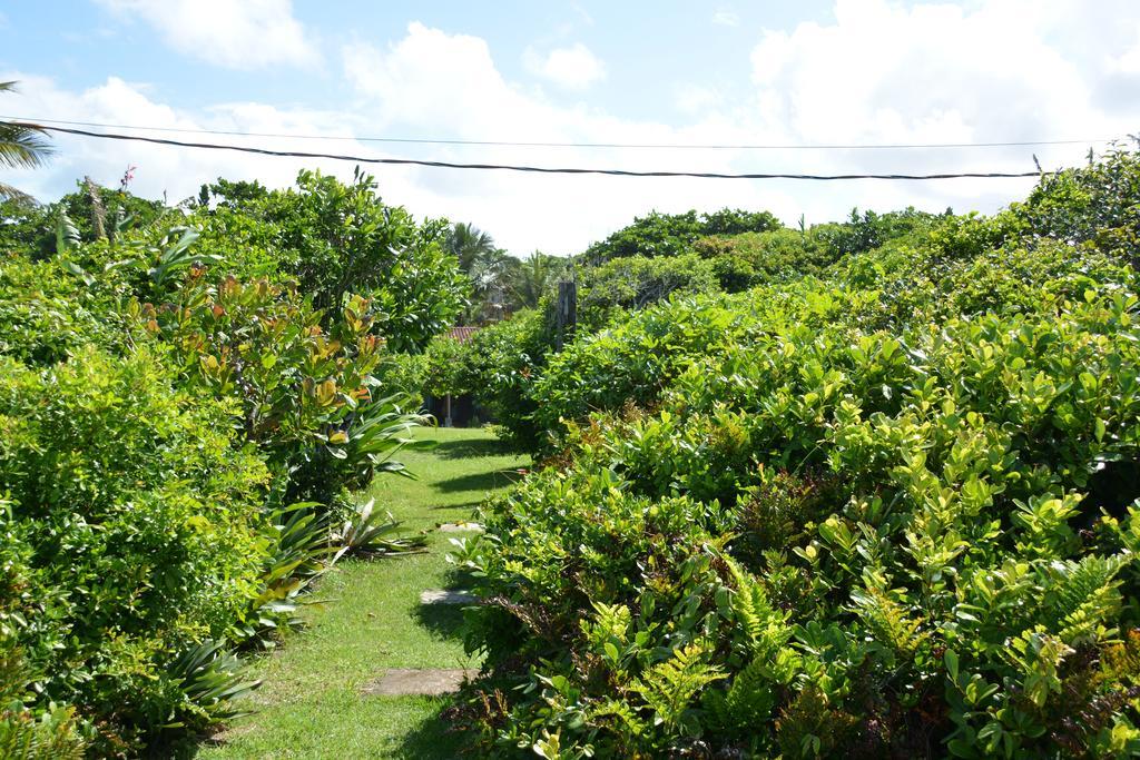 Casa Da Ilha Do Mel - Pousada De Charme Eksteriør billede
